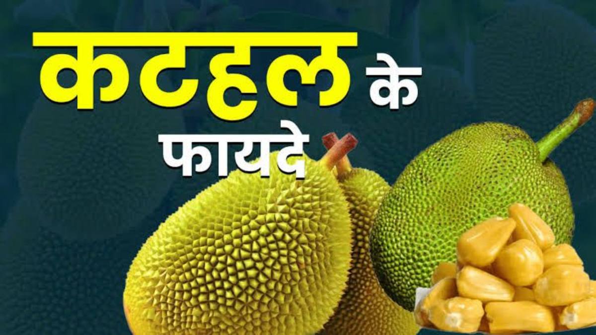 गर्मियों में ‘वेज मीट’ कहलाने वाला कटहल, स्वाद के साथ सेहत का खजाना …