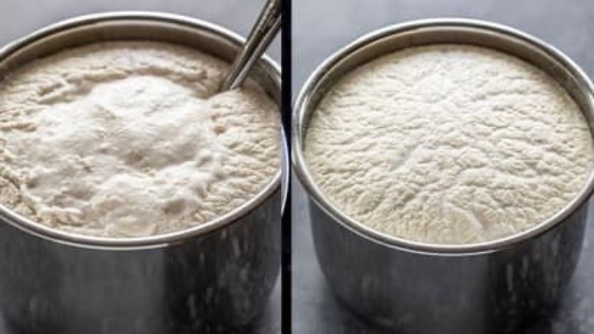 ओवर-फर्मेंटेड इडली बैटर से न हों परेशान, इन आसान किचन हैक्स से करें खट्टापन कम …