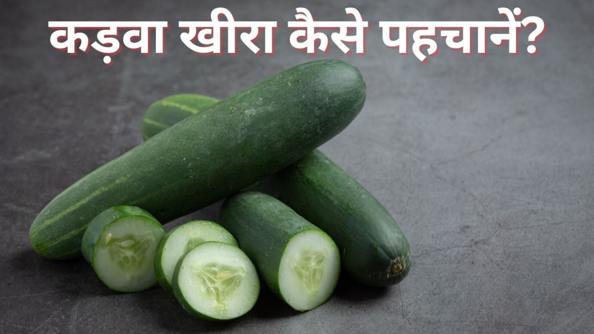 अब खीरा नहीं निकलेगा कड़वा, खरीदने से पहले इस तरह से करें जांच …