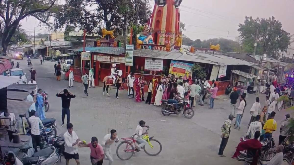 डांस छोड़ जान बचाना पड़ा भारी! जब बारात में अचानक टूट पड़ी मधुमक्खियां, अफरा-तफरी का वीडियो वायरल