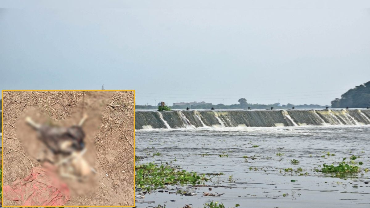 शिवनाथ नदी की बाढ़ में बहा महाराष्ट्र का व्यक्ति, 8 माह बाद छत्तीसगढ़ के मोंगरा बैराज में मिला कंकाल