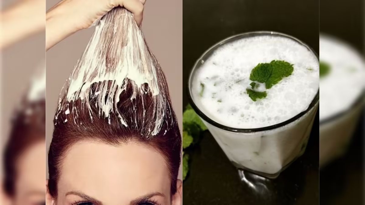 बालों के लिए वरदान है छाछ, जानिए कैसे बनाती है हेयर हेल्दी और शाइनी …