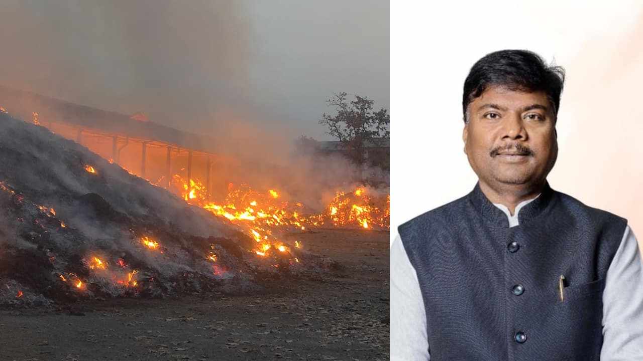 तेंदूपत्ता अग्निकांड पर वन मंत्री का बड़ा एक्शन : बीजापुर DFO हटाए गए, अनुभवी अधिकारी की तैनाती, घटना की होगी निष्पक्ष जांच
