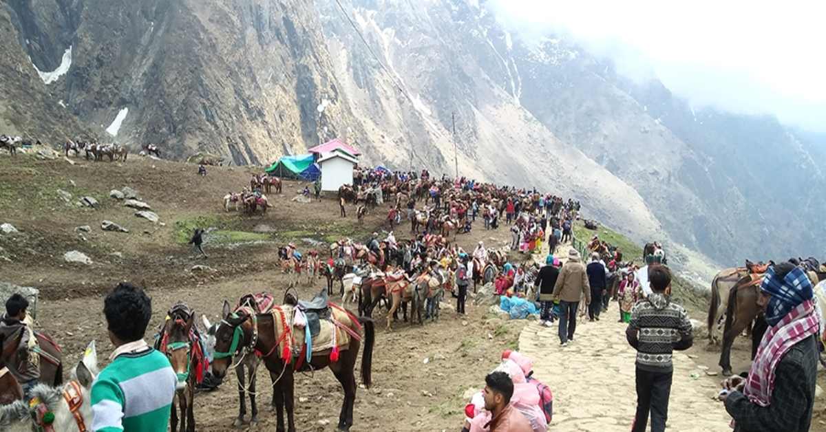चारधाम यात्रा मार्गों पर घोड़ा-खच्चर के संचालन की क्षमता निर्धारित, नई SOP के तहत होगा संचालन