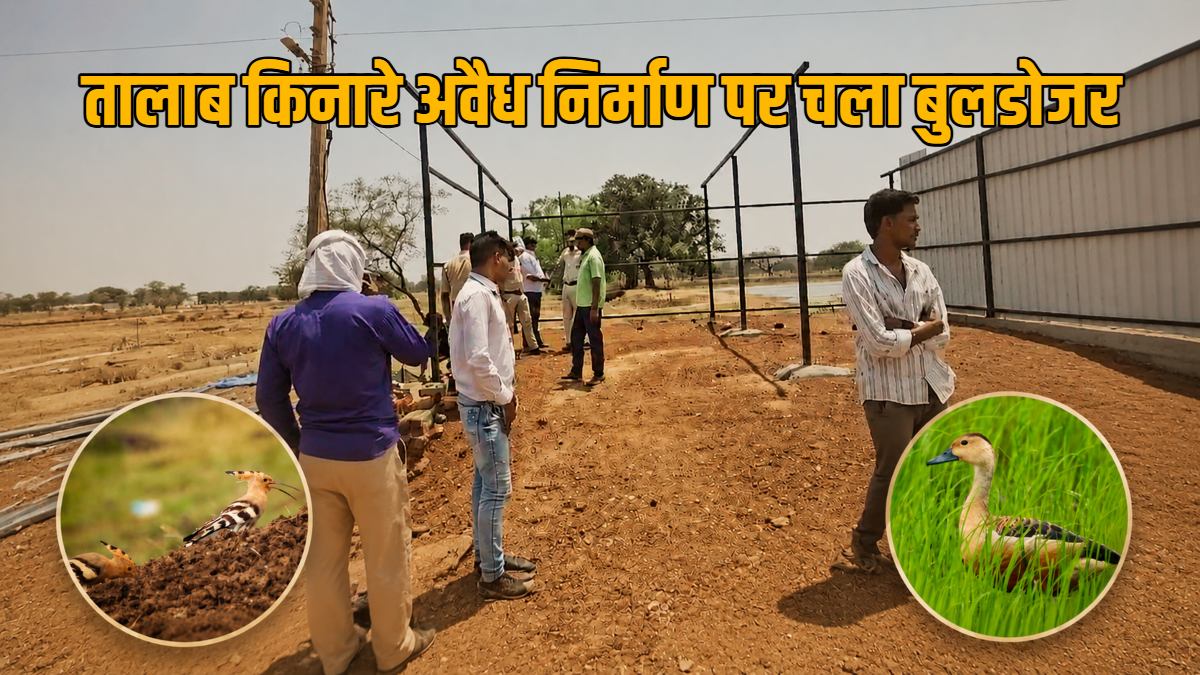 मुरमुंदा तालाब को बचाने प्रशासन की बड़ी कार्रवाई, पक्षियों के आश्रय स्थल से हटाया गया अतिक्रमण