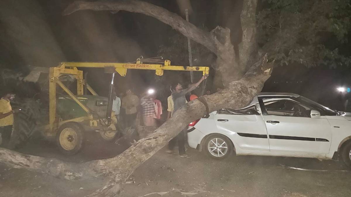 बड़ा हादसा टला : चलती कार पर गिरी पेड़ की विशाल डाल, बाल-बाल बची जान, लोगों का सवाल – आखिर कब जागेगा जिम्मेदार विभाग?