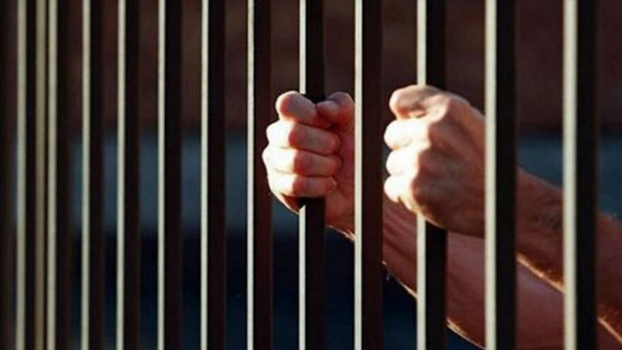 नारनौल पुलिस का नशे पर नकेल: पांच साल में दो टन से ज्यादा नशीला पदार्थ जब्त, तस्कर को 20 साल की सजा