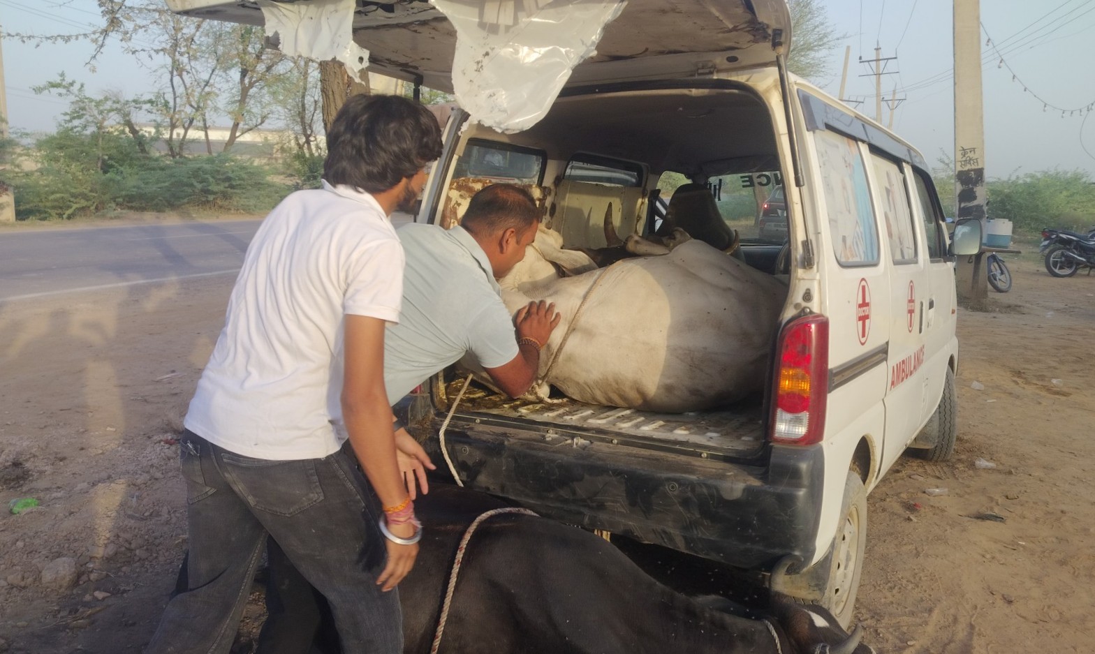एंबुलेंस में हो रही थी गौ तस्करी, पुलिस मुठभेड़ में आरोपी के दोनों पैरों में लगी गोली