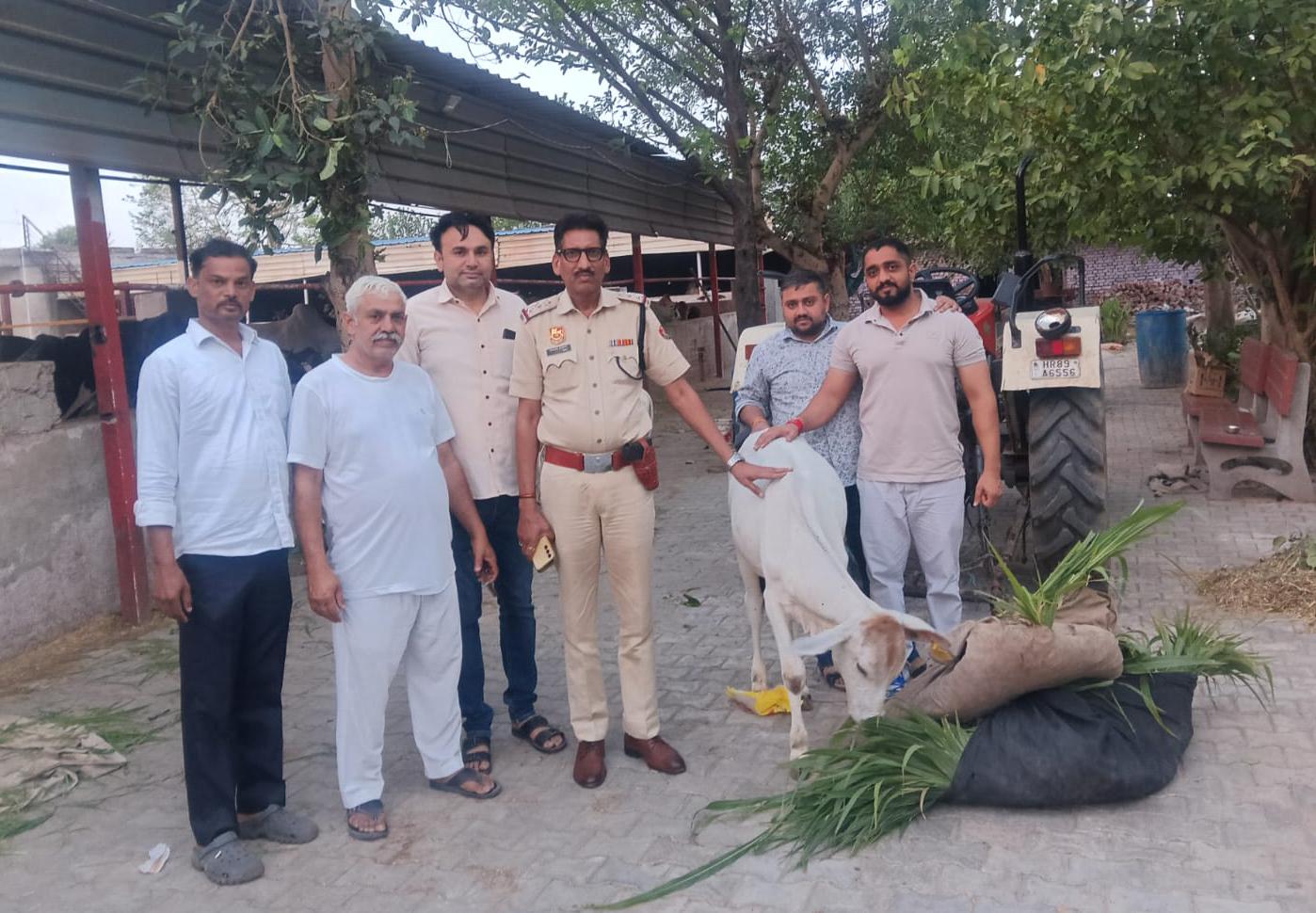 नूंह में तावडू पुलिस का दिखा अनोखा मानवीय चेहरा, गौशाला पहुंचकर की गौसेवा और दान किया चारा