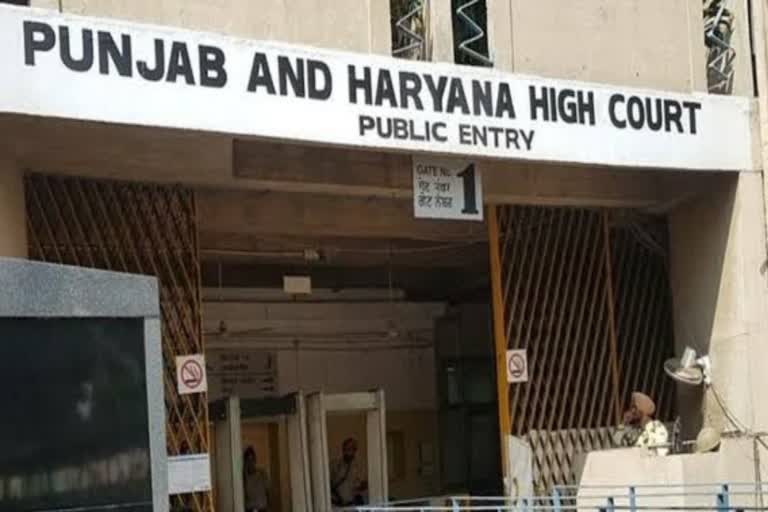पंजाब-हरियाणा हाई कोर्ट का बड़ा फैसला: अब नियमित कर्मचारियों जैसा लाभ पाएंगे गेस्ट