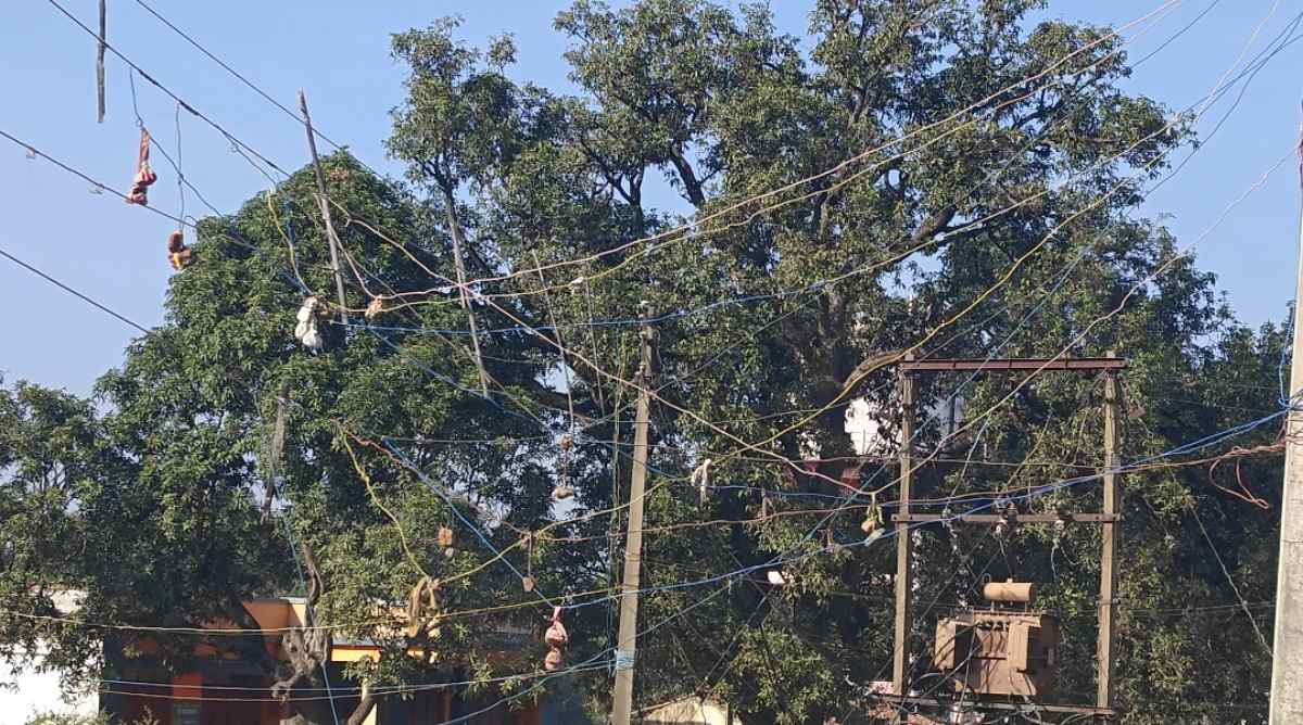 स्मार्ट मीटर के दौर में कटिया राज, शहडोल में धड़ल्ले से हो रही बिजली चोरी, कार्यप्रणाली पर उठे सवाल