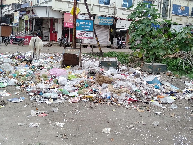 कालांवाली: सफाई कर्मचारियों की हड़ताल का सातवां दिन; कूड़े के ढेर से शहर बेहाल, बीमारियों का मंडराया खतरा