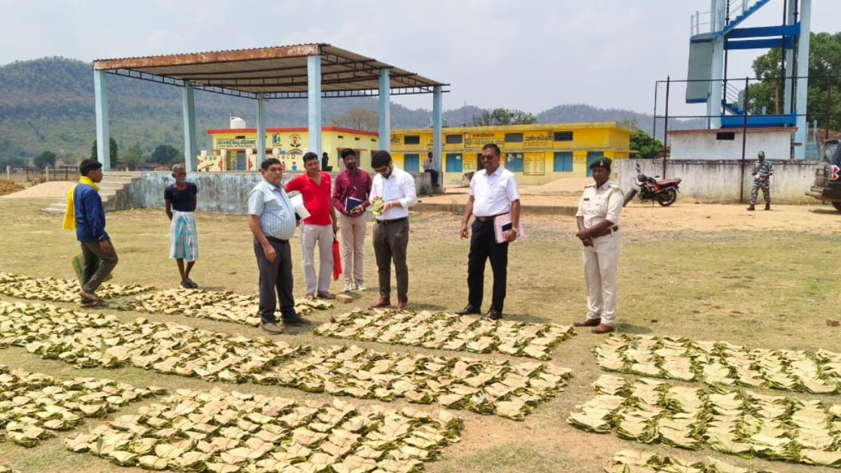 सीमावर्ती फड़ों में वन विभाग की सख्ती, अवैध तेन्दूपत्ता कारोबार पर रखी जा रही पैनी नजर