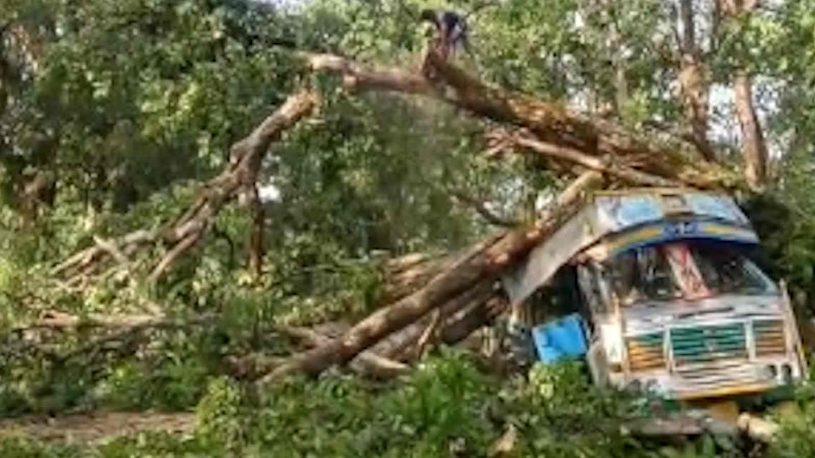 BREAKING: ट्रक पर पेड़ गिरने से जगदलपुर-सुकमा हाइवे पर यातायात थमा, वाहनों की लगी लंबी कतार…