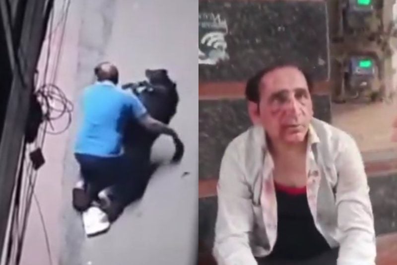 दिल्ली से कुत्तों का दुष्कर्मी गिरफ्तार, Video वायरल होने के बाद लोगों में आक्रोश ; NGO की शिकायत के बाद कार्रवाई