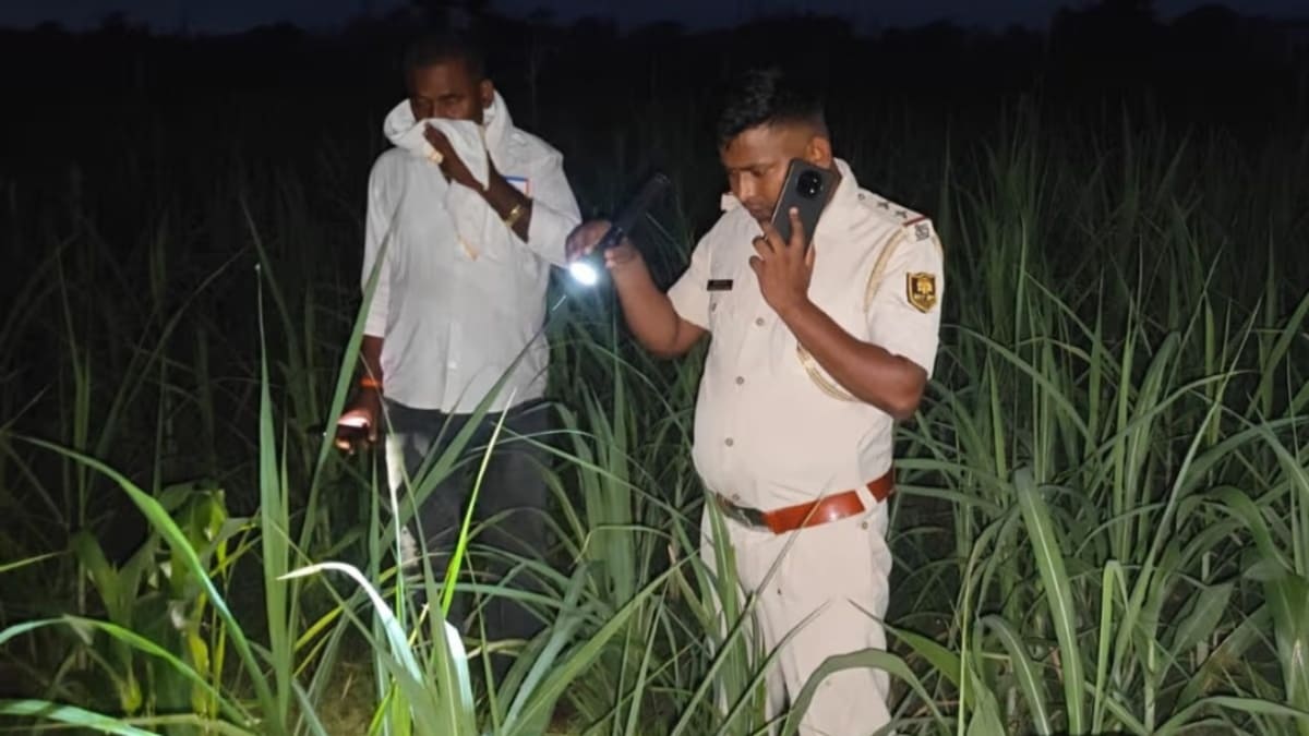 गोपालगंज में गन्ने के खेत में मिला सिरकटा शव, हत्या की गुत्थी सुलझाने में जुटी पुलिस