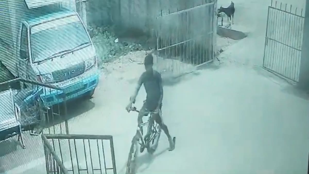 ​जमुई के गिद्धौर सीएचसी में दिनदहाड़े चोरी, सीसीटीवी में कैद हुआ शातिर चोर, सुरक्षा व्यवस्था पर उठे सवाल