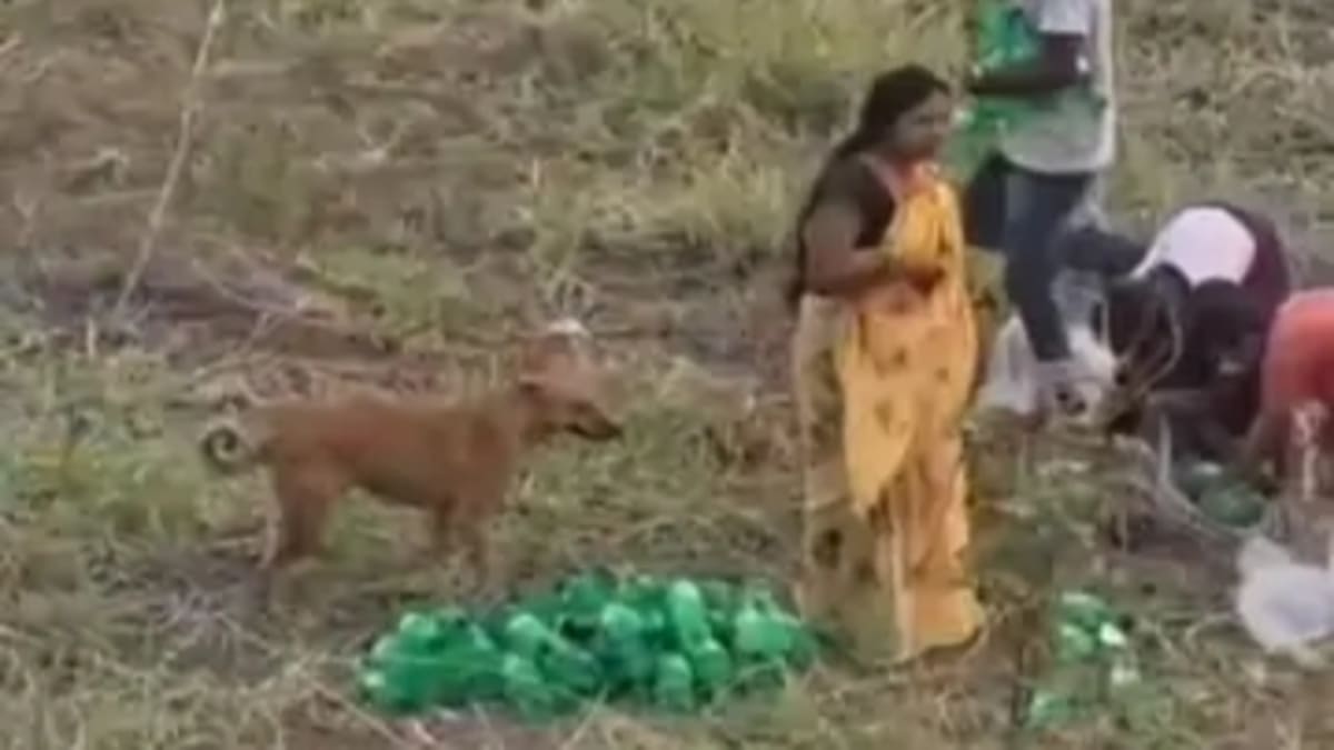फतुहा में ट्रक पलटने से लाखों की कोल्ड ड्रिंक हुई बर्बाद, जिंदगी-मौत से जूझते रहे ड्राइवर-खलासी, मदद की जगह मची लूट