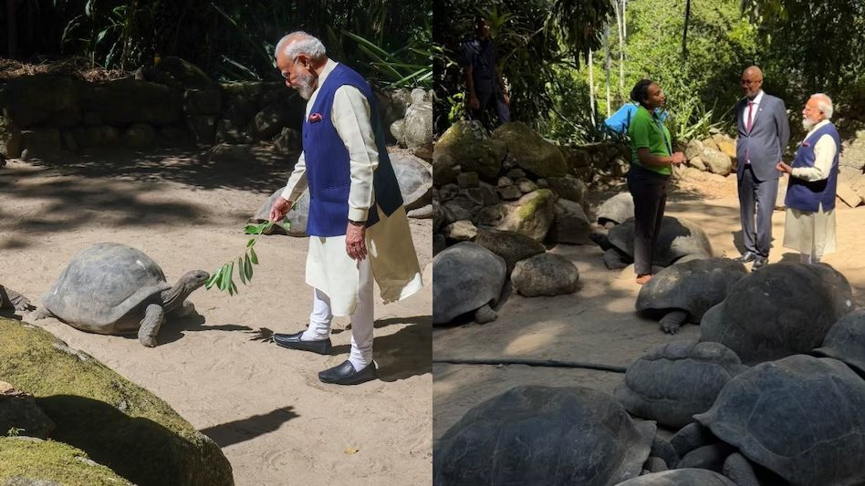 सेशेल्स में 194 वर्षीय कछुए ‘जोनाथन’ से मिले पीएम मोदी, पत्तियां खिलाईं; VIDEO