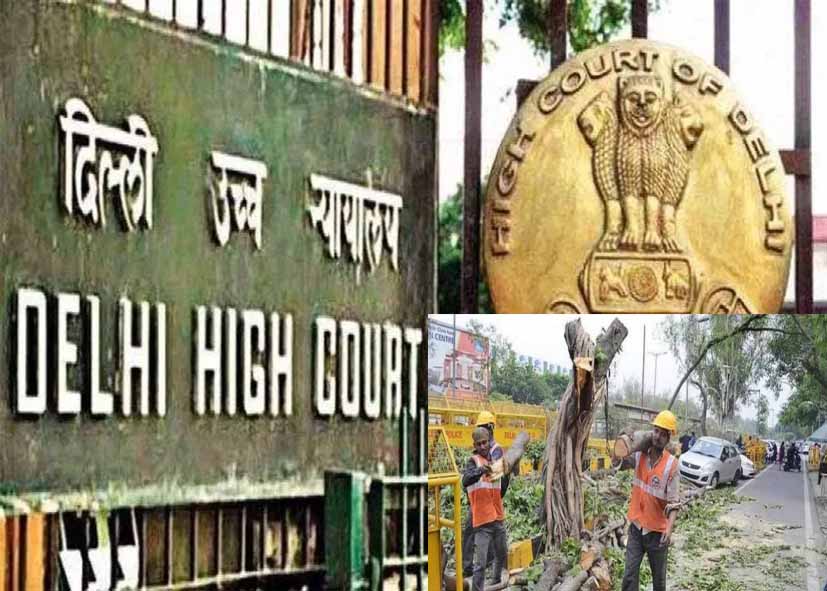 दिल्ली हाई कोर्ट ने पेड़ कटाई नियमों में बदलाव पर जताई सख्ती, सरकार को फटकार