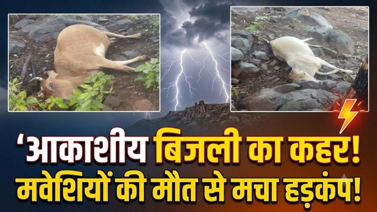 कुदरत का कहर: पेड़ पर गिरी आकाशीय बिजली, चपेट में आकर मवेशियों की मौत, मचा हड़कंप