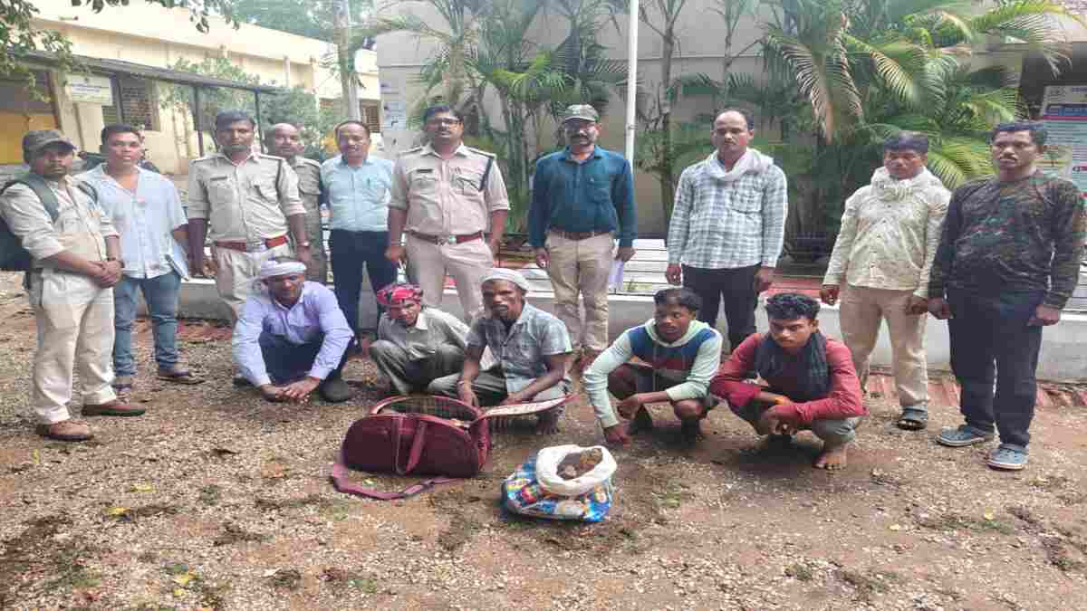बालाघाट में बाघ तस्करी का बड़ा खुलासा: वन विभाग ने 5 तस्करों को टाइगर की हड्डियां बेचते रंगे हाथ दबोचा, दो कंकाल बरामद