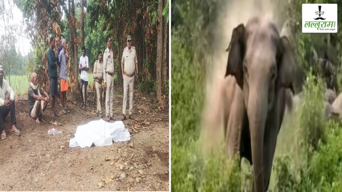 दल से भटके हाथी का आतंक: पति-पत्नी को कुचलकर उतारा मौत के घाट, इलाके में दहशत का माहौल