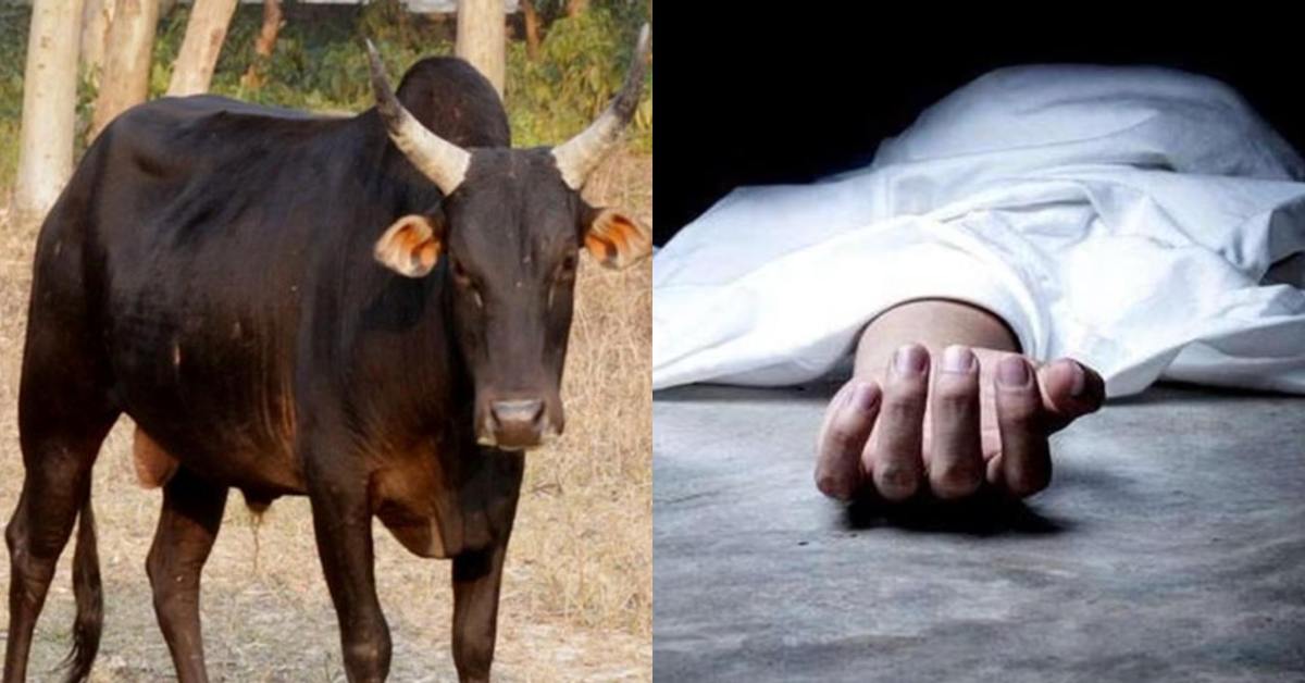 जानवर बना जी का जंजालः काम निपटाकर घर लौट रहे थे 2 दोस्त, तभी काल बनकर आया सांड और थम गई दोनों की सांसें