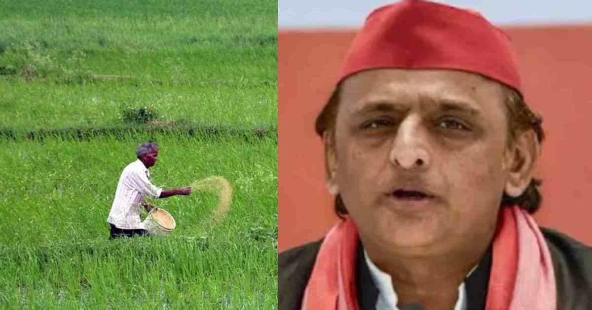‘सरकारी बीज‘ भी भाजपा की सरकार जैसे… अखिलेश यादव ने किसानों को धोखा देने का लगाया आरोप, जानिए क्या कहा?