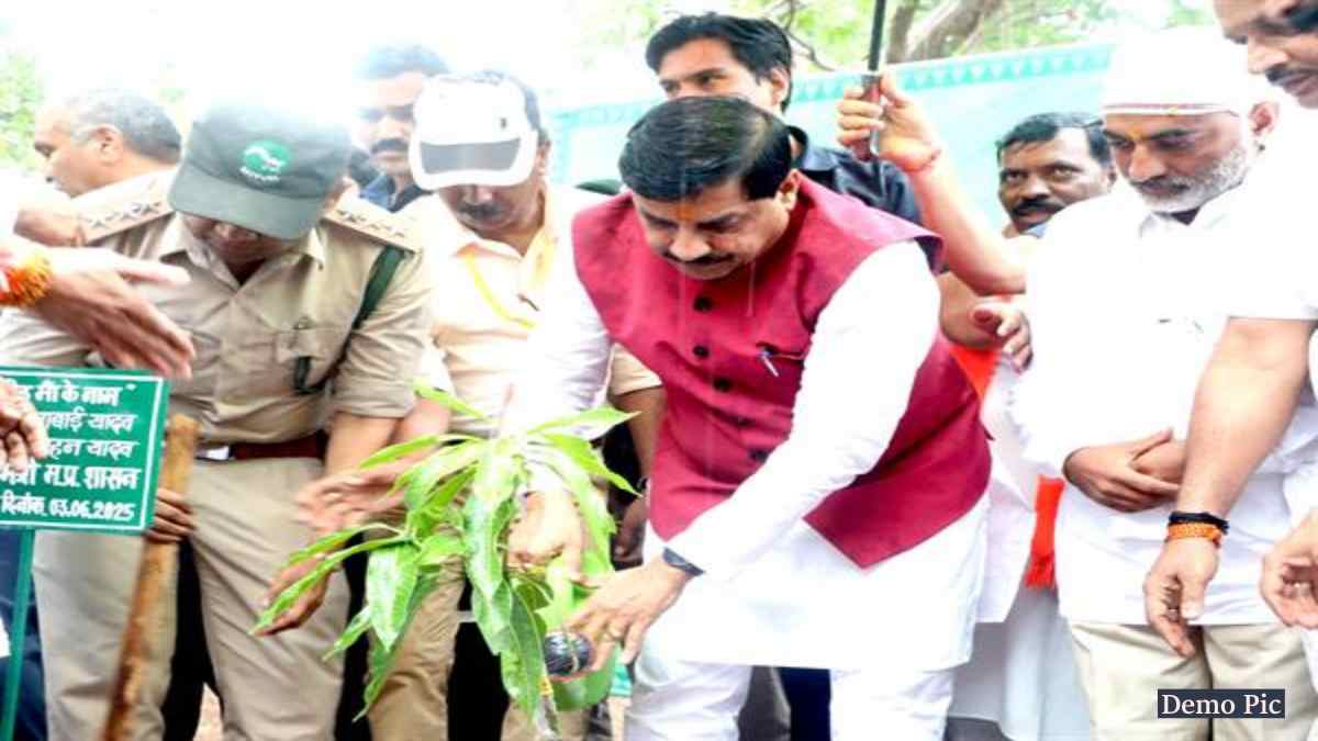 एक पेड़ मां के नाम 2.0: विश्व पर्यावरण दिवस पर CM डॉ. मोहन करेंगे शुभारंभ, हर जिला में होंगे कार्यक्रम