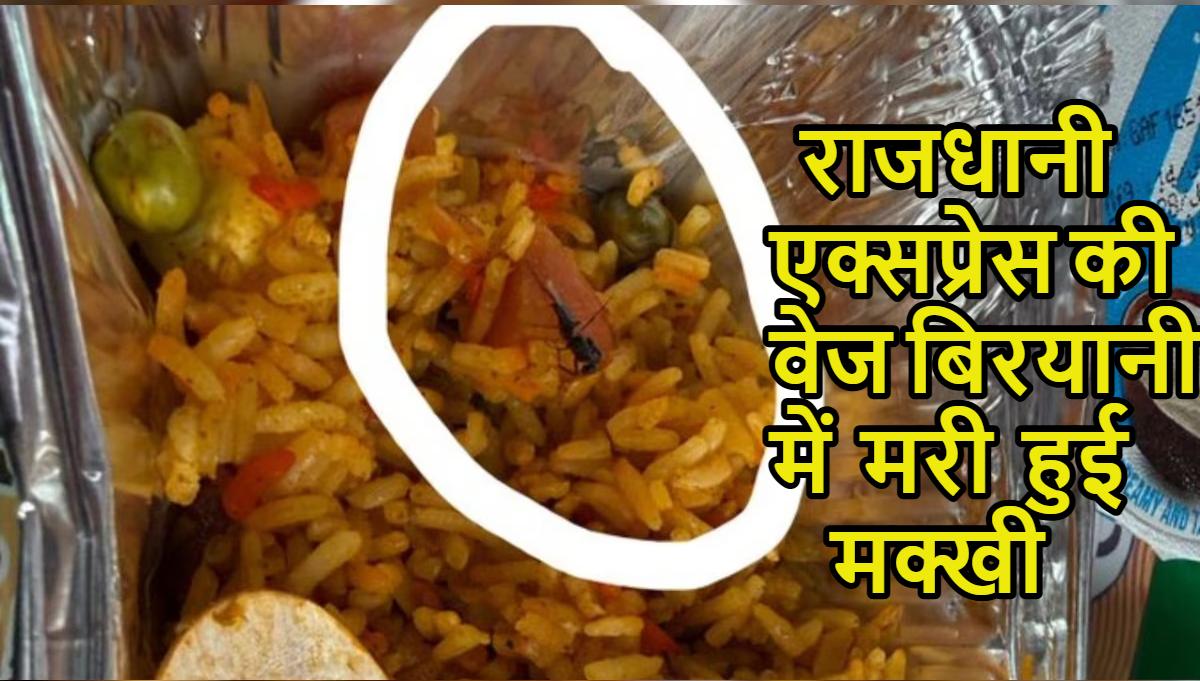 राजधानी एक्सप्रेस की वेज बिरयानी में मरी हुई मक्खी मिलीः IRCTC ने केटरिंग फर्म पर 1 लाख का जुर्माना लगाया, लाइसेंस भी रद्द