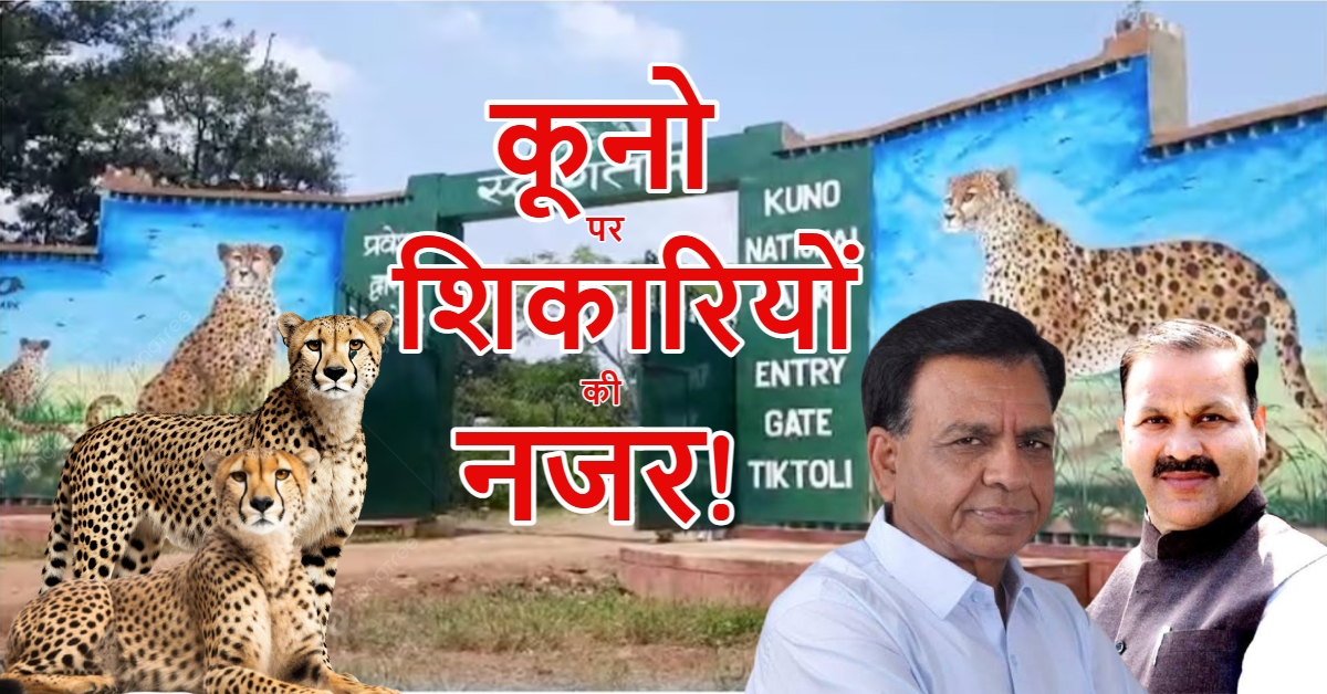 ‘कूनो’ पर शिकारियों की नजर! कांग्रेस ने चीतों का शिकार कर बेचने का लगाया आरोप, डिप्टी CM ने किया पलटवार