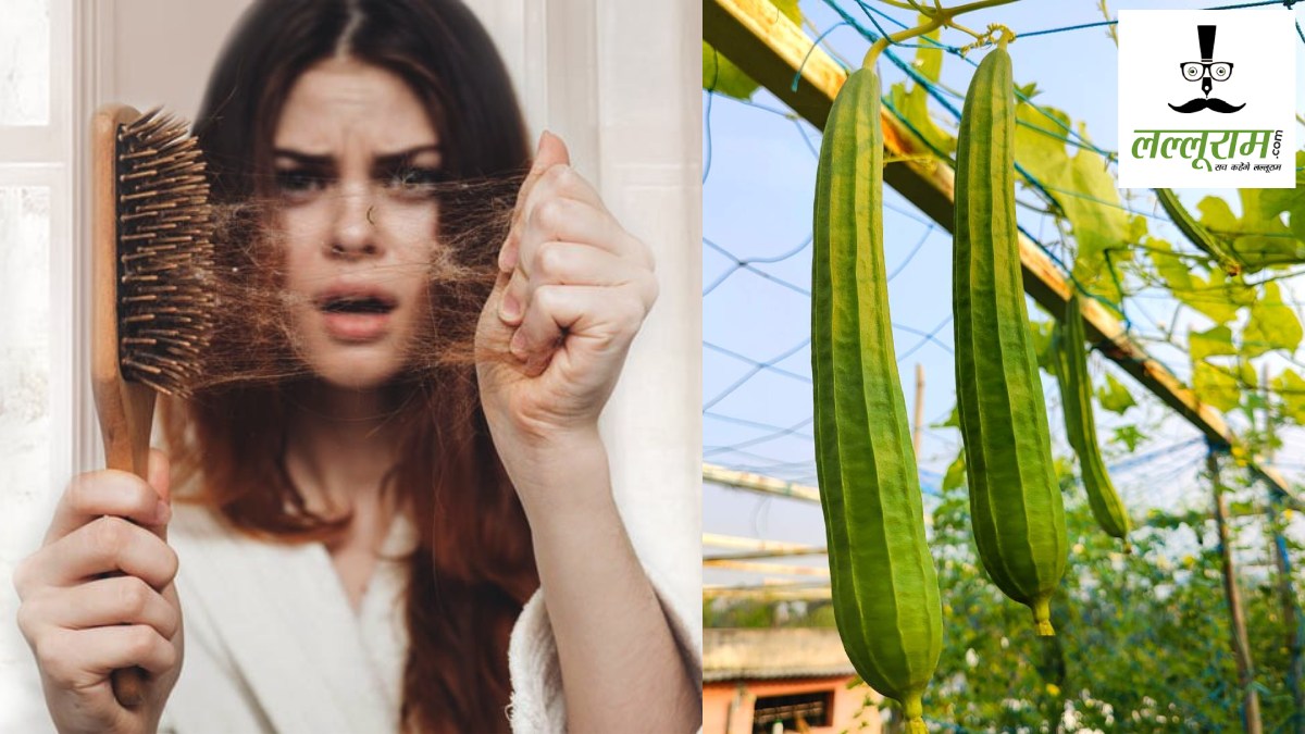 Hair Care Tips : झड़ते बालों से हैं परेशान? डाइट में शामिल करें तोरई, फायदे जानकर रह जाएंगे हैरान