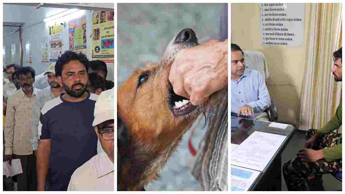 इंदौर में कुत्तों का खूनी आतंक! युवक के गुप्तांग पर हमला , 10 घंटे में 42 लोगों को काटा, निगम की लापरवाही पर सवाल  