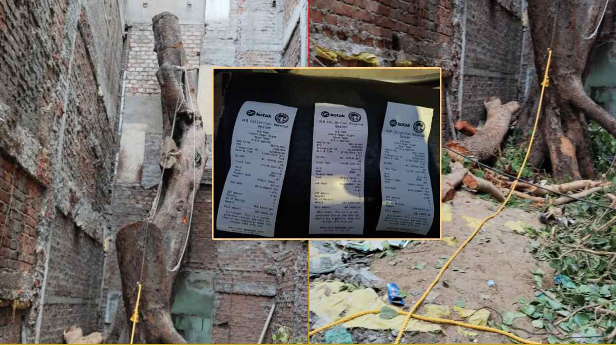 44 डिग्री की गर्मी में पेड़ काटना पड़ा भारी! इंदौर में डेढ़ लाख का सबसे बड़ा स्पॉट फाइन