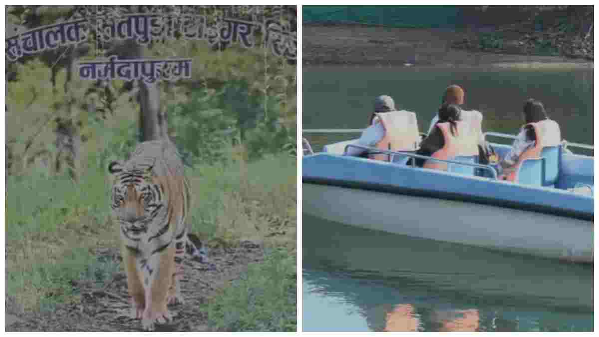 मानसून में भी नहीं थमेगा रोमांच: सतपुड़ा टाइगर रिजर्व का कोर क्षेत्र बंद, बफर जोन में सफर रहेगा जारी 