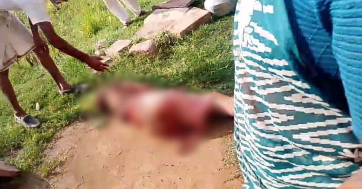नर्मदापुरम में खौफनाक वारदात: खेत में सो रही बुजुर्ग महिला पर ईंट से जानलेवा हमला, जेवर लूटकर भागे बदमाश