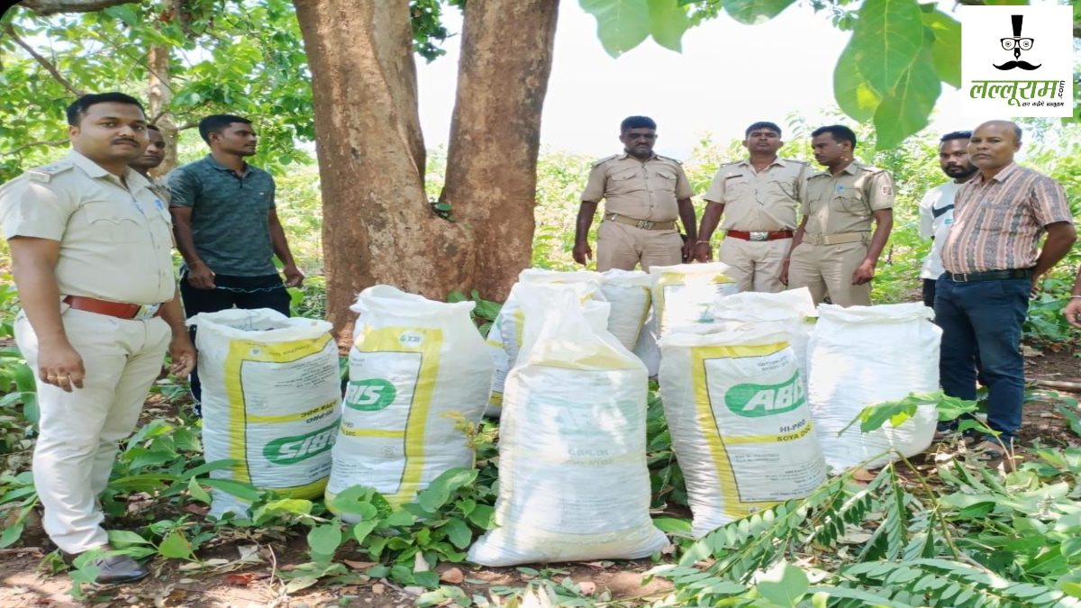 Odisha News : नशे के खिलाफ बड़ी कार्रवाई, पुलिस ने मलकानगिरी के जंगल से 3 क्विंटल गांजा किया बरमाद 