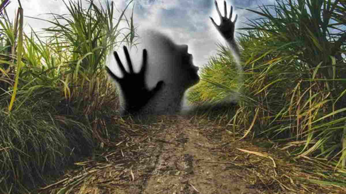 खेत की रखवाली कर रही महिला से दरिंदगी: पानी मांगने के बहाने किया दुष्कर्म, विरोध करने पर जान से मारने की दी धमकी  