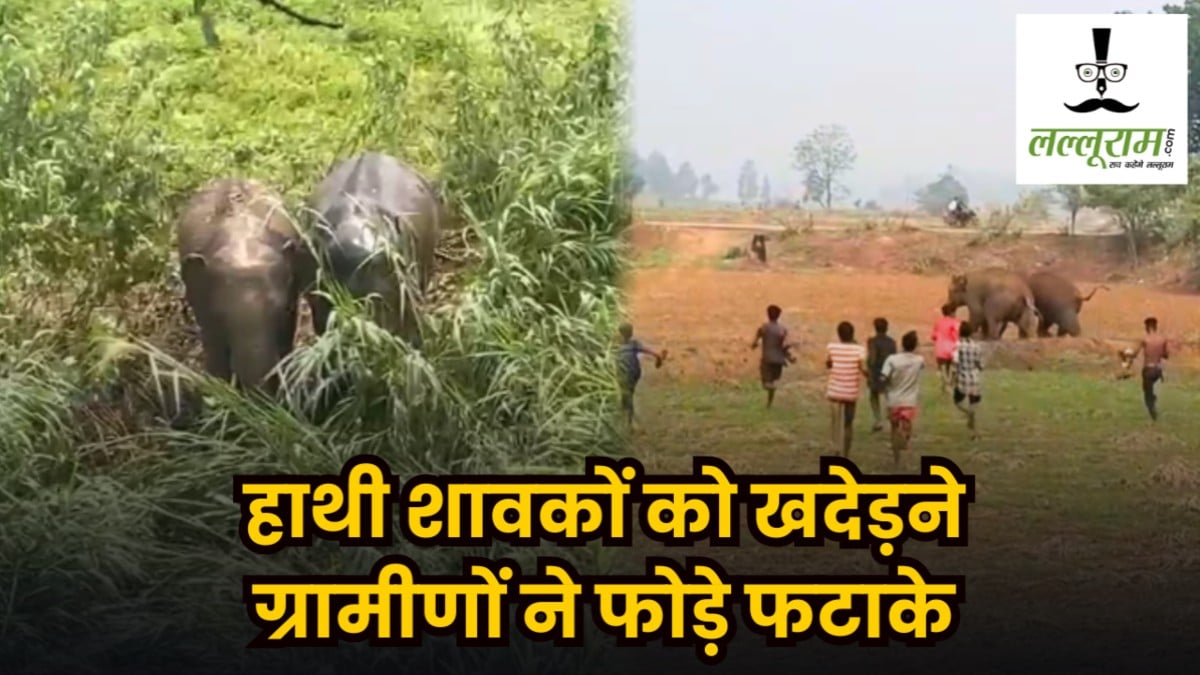 CG News : हाथी शावकों को खदेड़ने ग्रामीणों ने फोड़े फटाके, फिर पत्थर से हमला कर लगे दौड़ाने