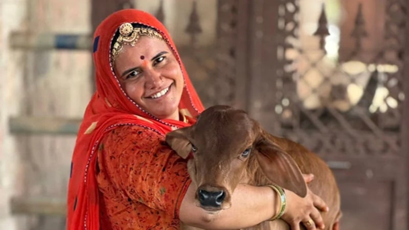 खेत में ट्रैक्टर चलाने वाली सोशल मीडिया स्टार Anita Bishnoi ने क्यों खाया जहर? फैंस हुए हैरान
