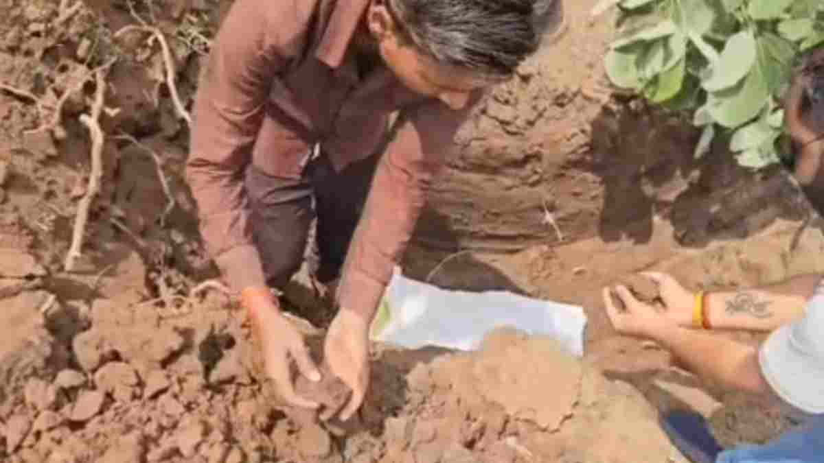 बिन ब्याही नाबालिग मां के मृत नवजात का कोई नहीं था वारिस, समाजसेवियों ने निभाई पिता की जिम्मेदारी, नंदी गौ सेवा धाम ने कराया अंतिम संस्कार 