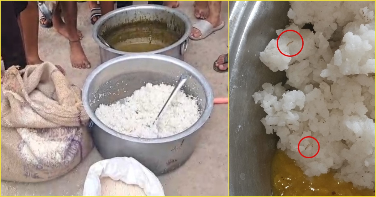 छात्रों को परोसा कीड़े वाला खाना, ‘शौर्य संकल्प प्रशिक्षण’ के दौरान छात्रावास में मचा हंगामा, Video Viral