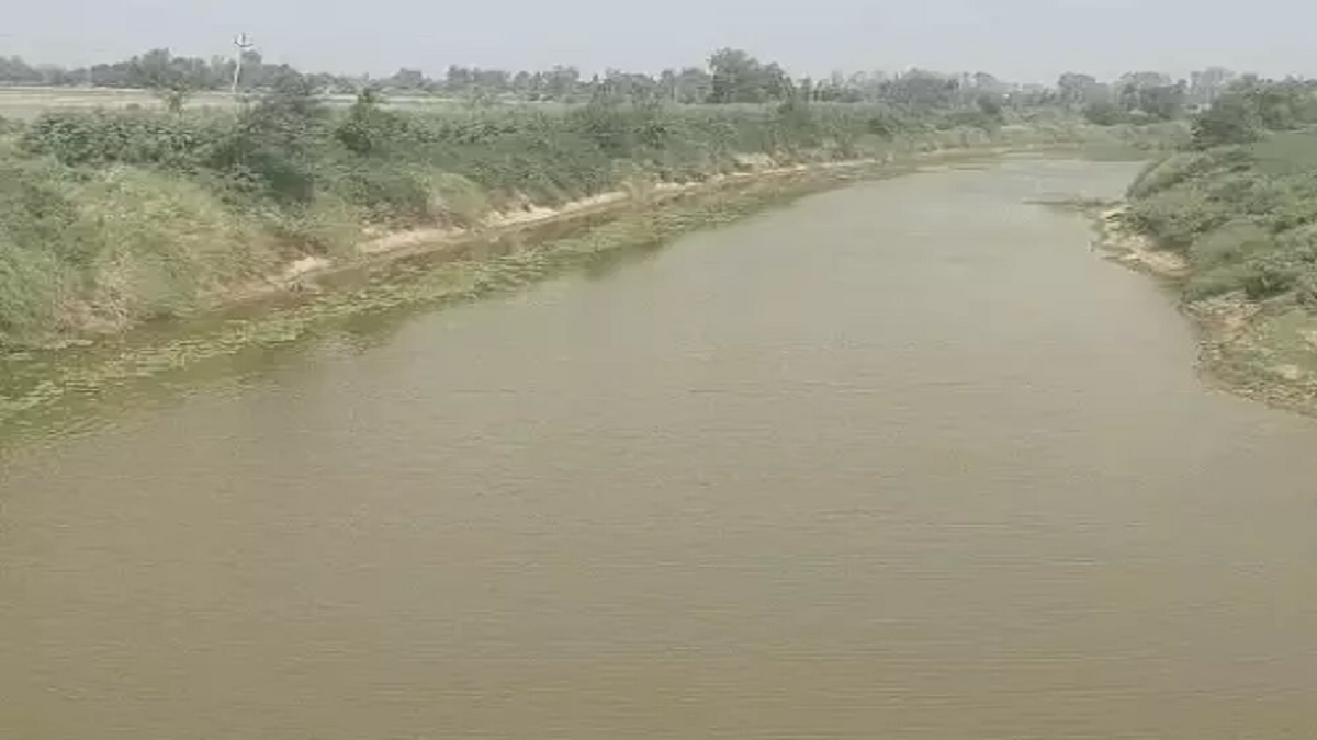 घग्गर नदी पर किसानों की नजर: मानसून से पहले ग्रामीणों ने खुद संभाला मोर्चा; खेतों में धान की बुवाई शुरू, मुआवजे को लेकर अभी भी कई परिवार परेशान