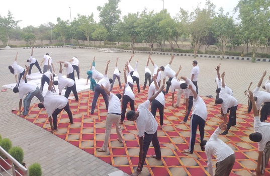 योग से निरोगी जीवन का संदेश: नूंह कोर्ट परिसर में न्यायिक अधिकारियों ने किया योगाभ्यास।