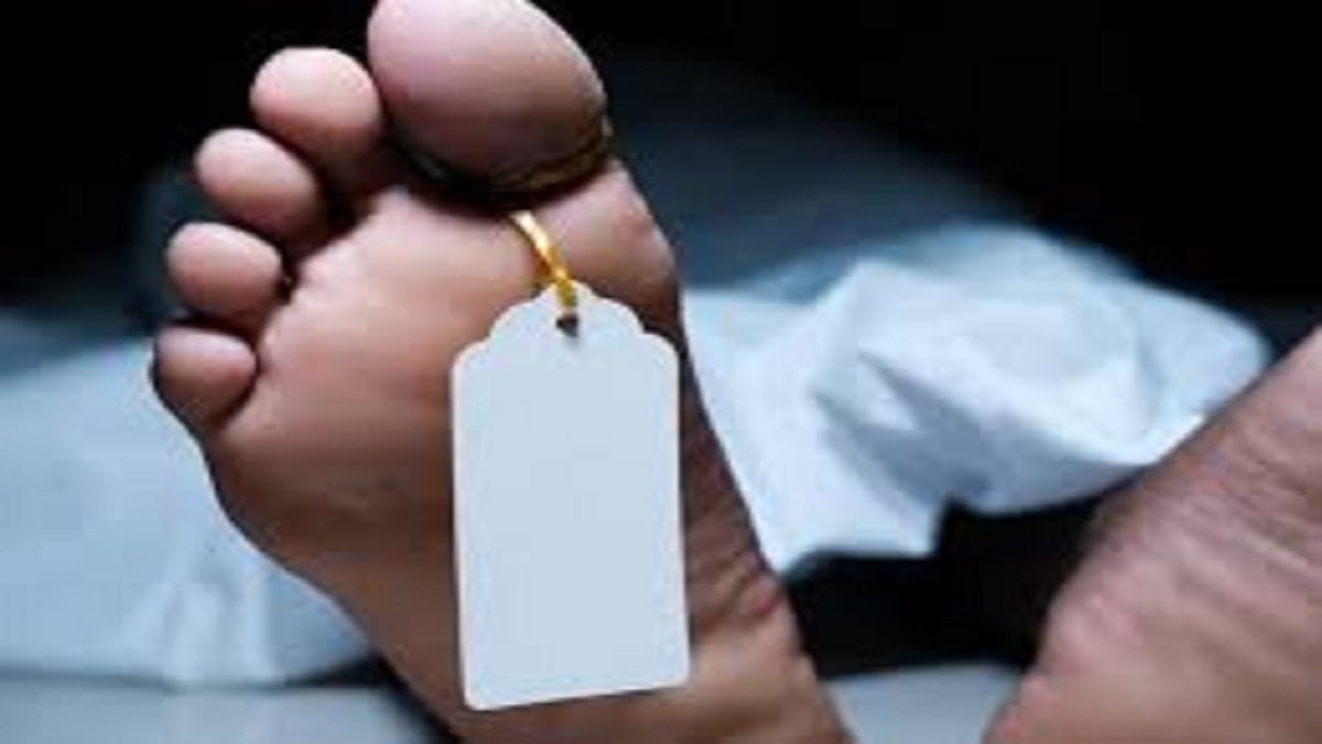 6 महीने की गर्भवती ने नहर में कूदकर दी जान; सुसाइड से पहले इंस्टाग्राम पर लिखा दर्दभरी पोस्ट, ससुराल पर प्रताड़ना का आरोप