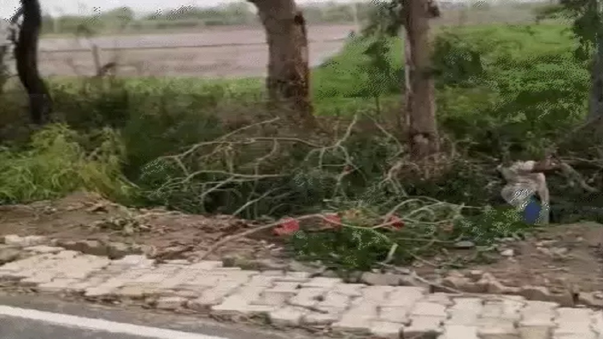 हरियाणा में मौसम का तांडव: कई जिलों में आंधी-तूफान के साथ ओलावृष्टि, आज 22 जिलों में ऑरेंज अलर्ट