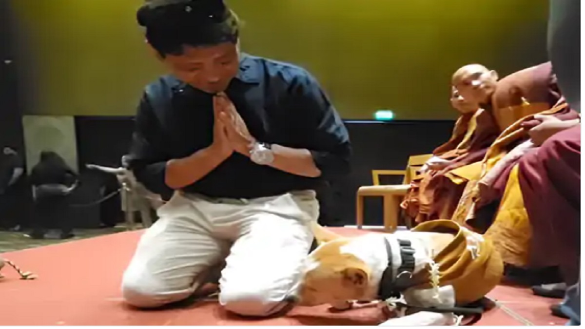 गुरुग्राम में अनोखा नजारा: शांतिदूत आलोका डॉग से मिलने उमड़े हजारों फैंस, बौद्ध भिक्षुओं संग अमेरिका में पैदल चल चुका है 3700 KM