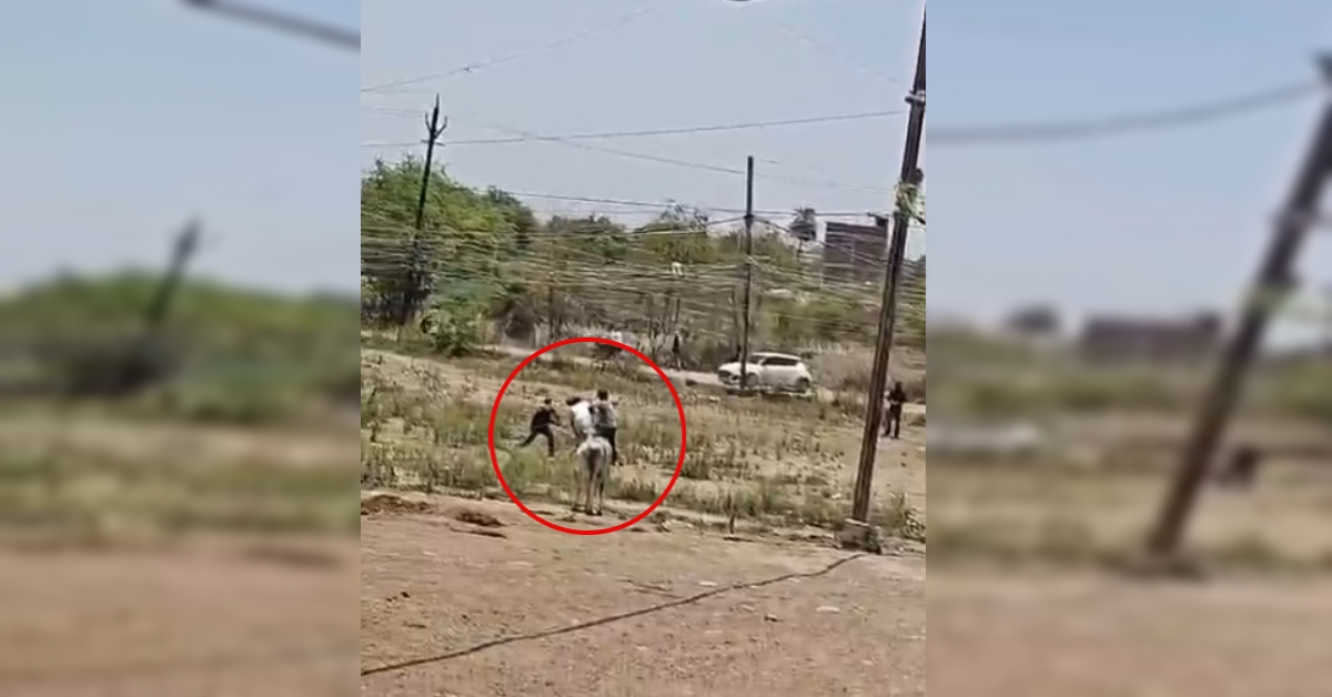 गैंगस्टर विक्रम राणा पर हमला: बदमाशों ने ऑटो रुकवाकर की सरेराह पिटाई, फायरिंग फेल हुई तो लाठी-डंडों से किया अधमरा