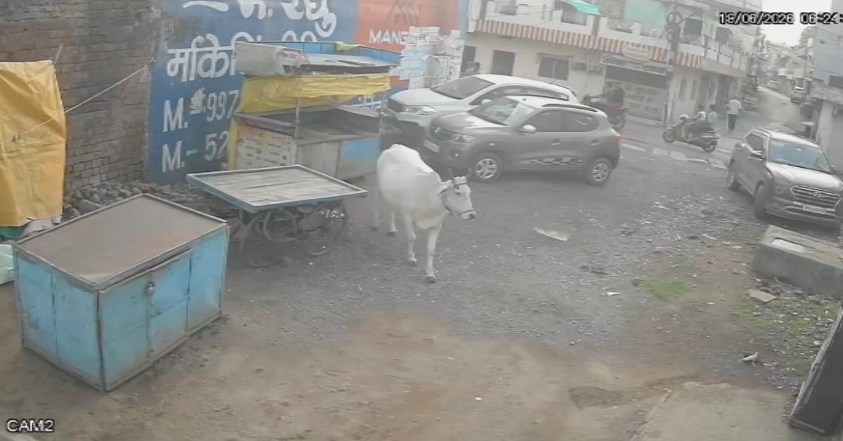 सोने की चेन पर झपटा, महिला अड़ गई… मॉर्निंग वॉक के दौरान बुजुर्ग पर हमला, आधी चेन लेकर भागे लुटेरे